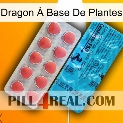 Dragon À Base De Plantes new14